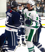 St Viator AHL Playoffs